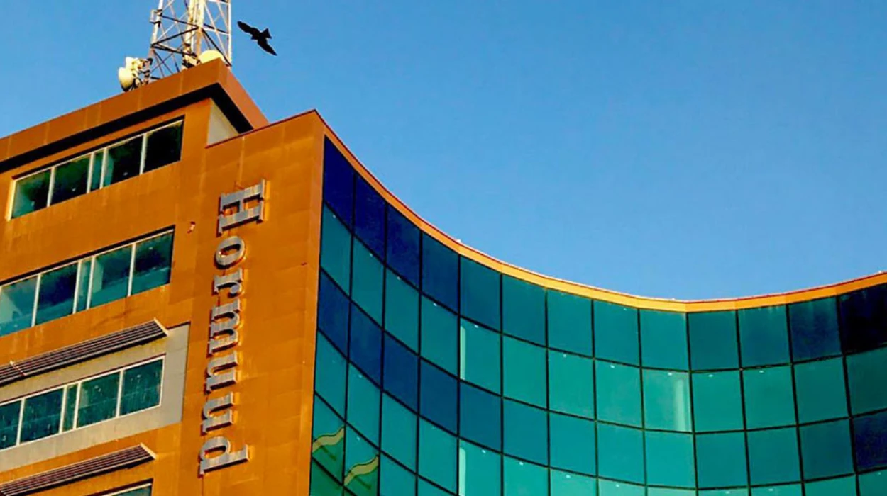 10 Alternatives of UAE’s Telcom Somalia in Somalia