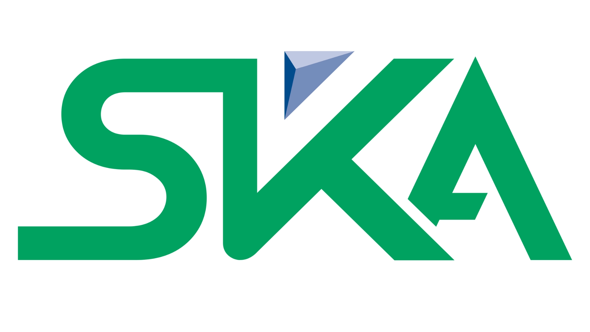 10 Alternatives of UAE's SKA International Group in Somalia