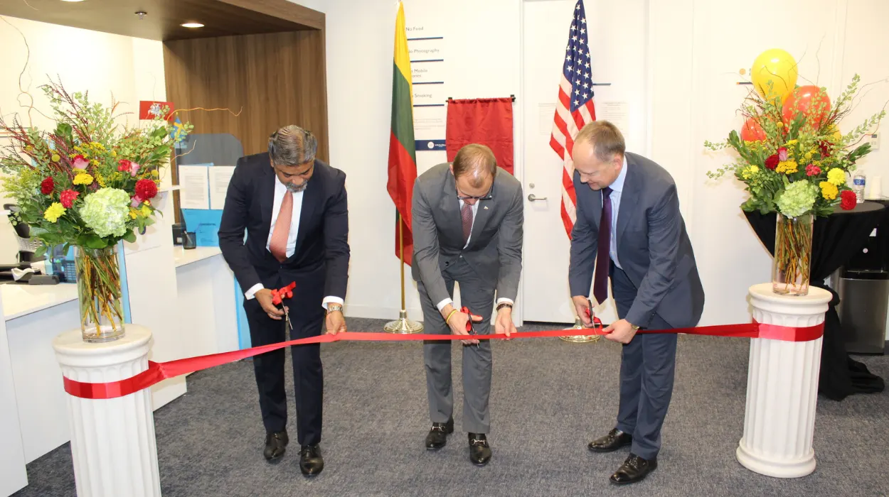 10 Alternatives of UAE's VFS Global in United States